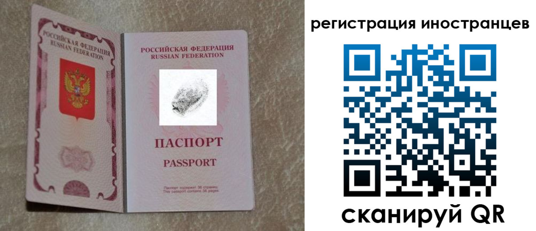 прописка законно в Белгородской области